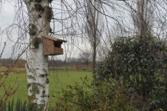 Nestkast roodborst of grauwe vliegenvanger